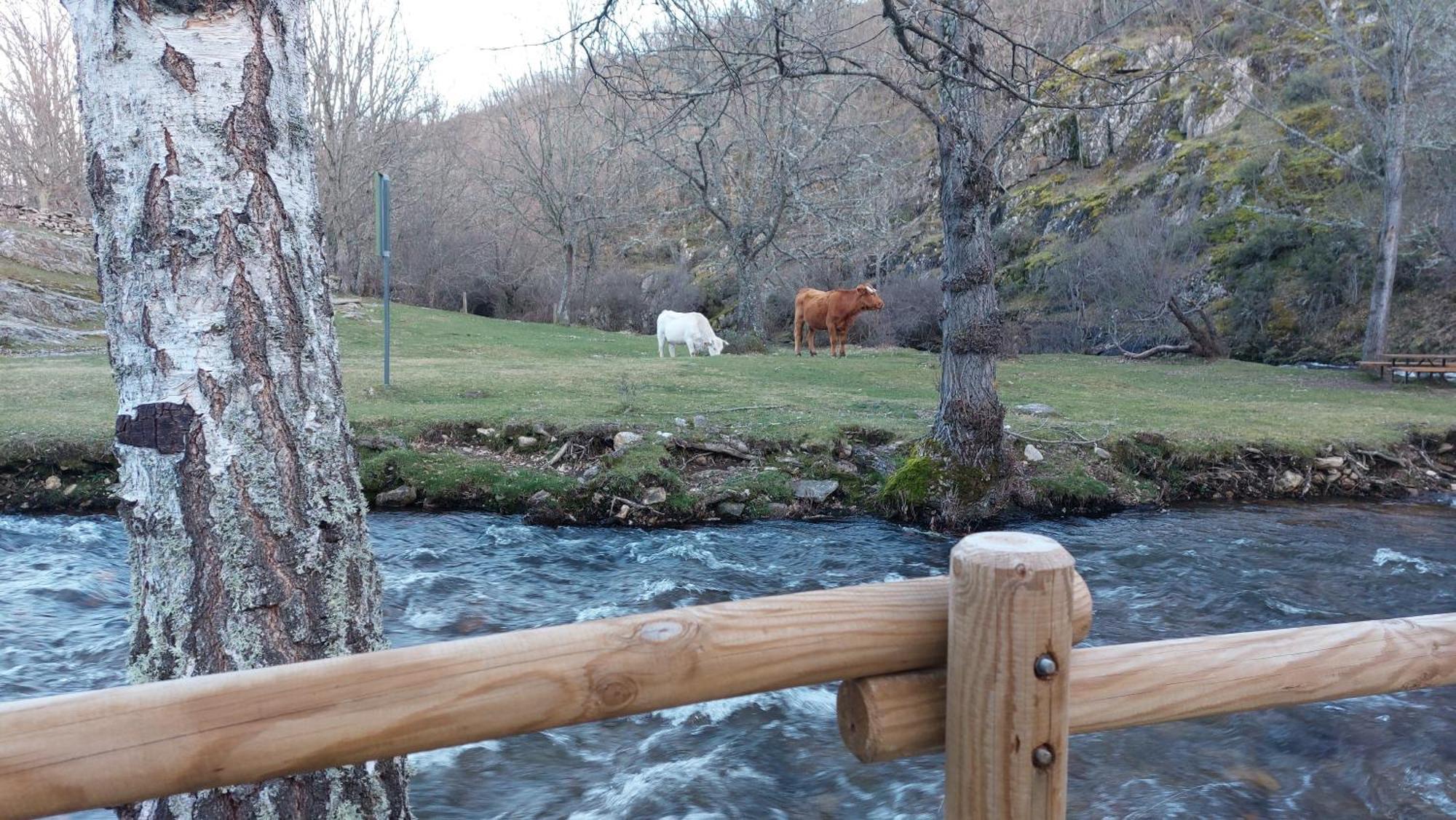 El Tinao De La Hiruela Villa Dış mekan fotoğraf