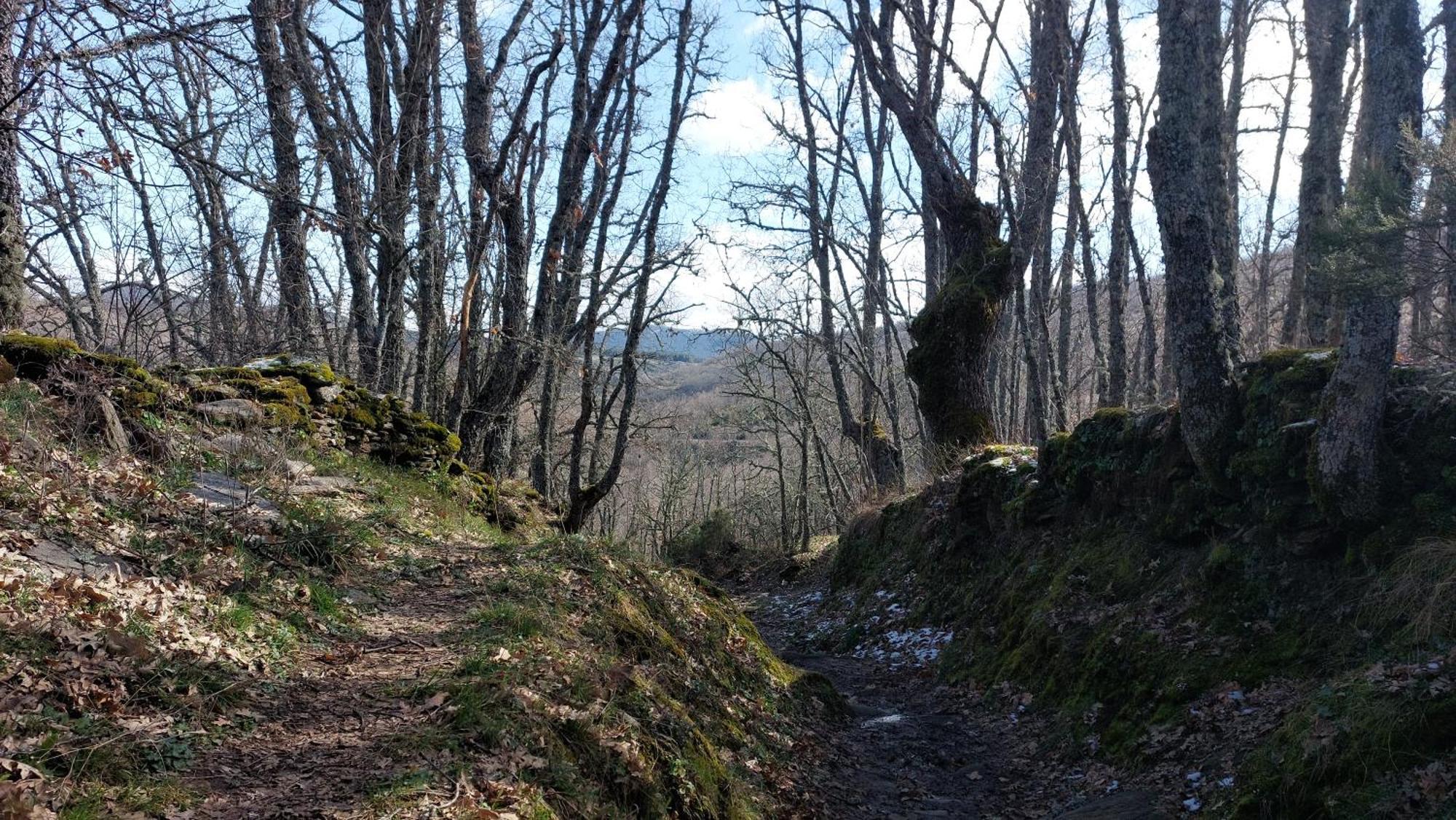 El Tinao De La Hiruela Villa Dış mekan fotoğraf