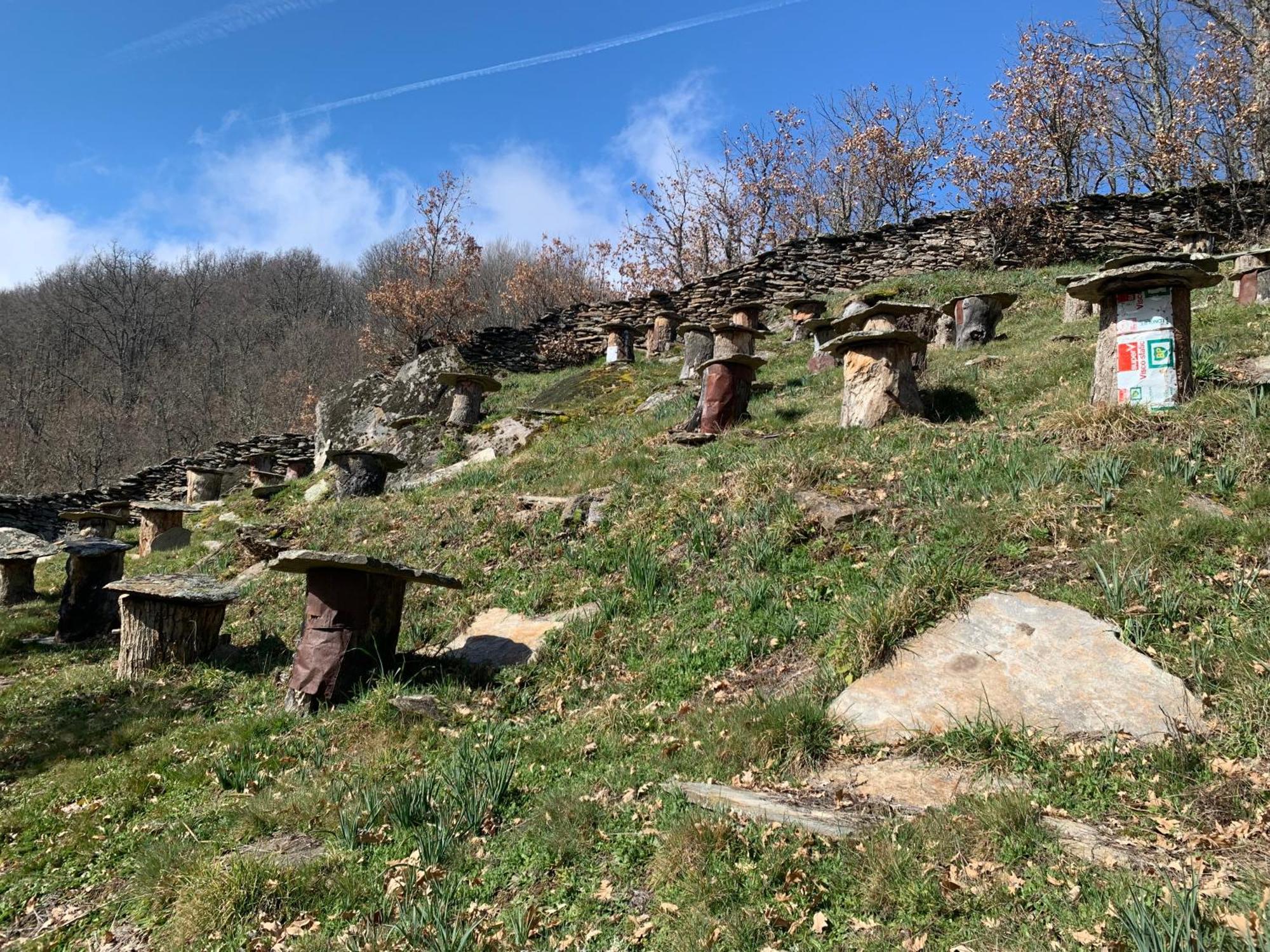 El Tinao De La Hiruela Villa Dış mekan fotoğraf